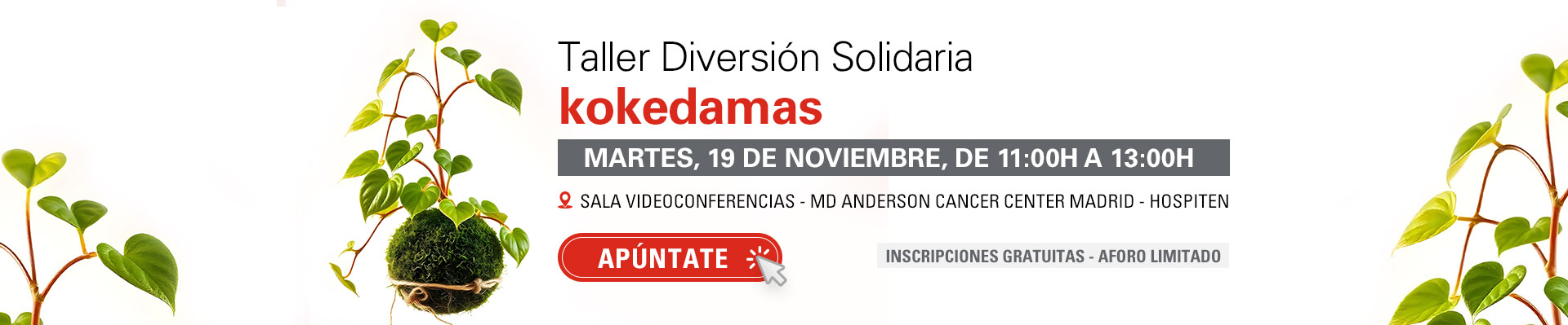 Taller Diversión Solidaria: kokedamas