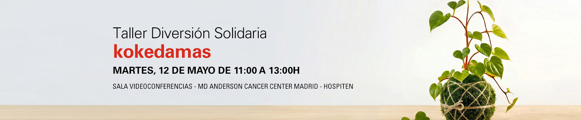 Taller Diversión Solidaria: kokedamas
