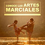 Conoce las artes marciales. 