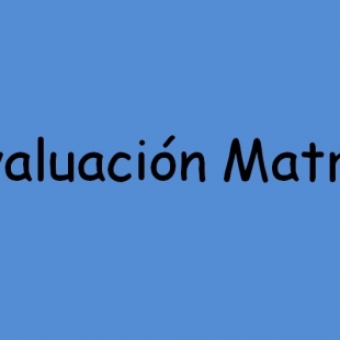 Autoevaluación de matrices 2019-2020. 