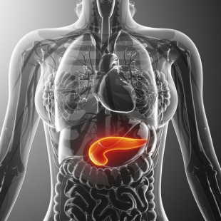 Revisión sobre la profilaxis farmacológica en la pancreatitis aguda.