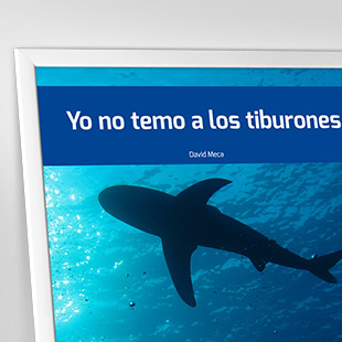 Yo no temo a los tiburones. <p>Aunque suene raro, David Meca odiaba nadar cuando era pequeño. En realidad, es normal que así fuera: con cinco años comenzó a nadar, y a muy temprana edad sus padres le levantaban a diario de madrugada, incluso en invierno, para llevarle a entrenar a la piscina antes de ir al colegio.</p>
<p>No lo hacían para convertirle en un deportista de élite, sino porque tenía un montón de problemas físicos y los médicos les habían aconsejado que practicara natación. Tenía la espalda desviada, llevaba hierros en las piernas, padecía asma y tenía problemas de oídos y anginas. Para colmo, no tenía dientes debido a la fuerte medicación que le daban, y los pocos que tenía, los de leche, eran negros y malformados.</p>
<p>Sin embargo, aquel niño enclenque con los años llegaría a ser, según el Tomo x de la Federación Internacional de Natación, «el mejor nadador internacional de larga distancia de todos los tiempos». Por eso, cuando escucha a un aguafiestas decirle a alguien que él no puede, que la vida es así y nada va a cambiar por mucho que se esfuerce, David le invita a responder con contundencia que no es cierto. Que sí se puede. Que él sí pudo.</p>
<p>Hay muchos casos que demuestran que es posible cambiar y superar adversidades. David Meca es uno de ellos. Él superó sus problemas físicos, superó el miedo a los tiburones que inspiraban sus pesadillas infantiles, superó una falsa acusación de dopaje y llegó a lo más alto. Ésta es la historia de una vida de éxito, o lo que es lo mismo: una vida de esfuerzo.</p>